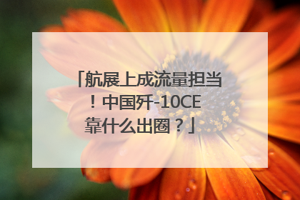 航展上成流量担当！中国歼-10CE靠什么出圈？